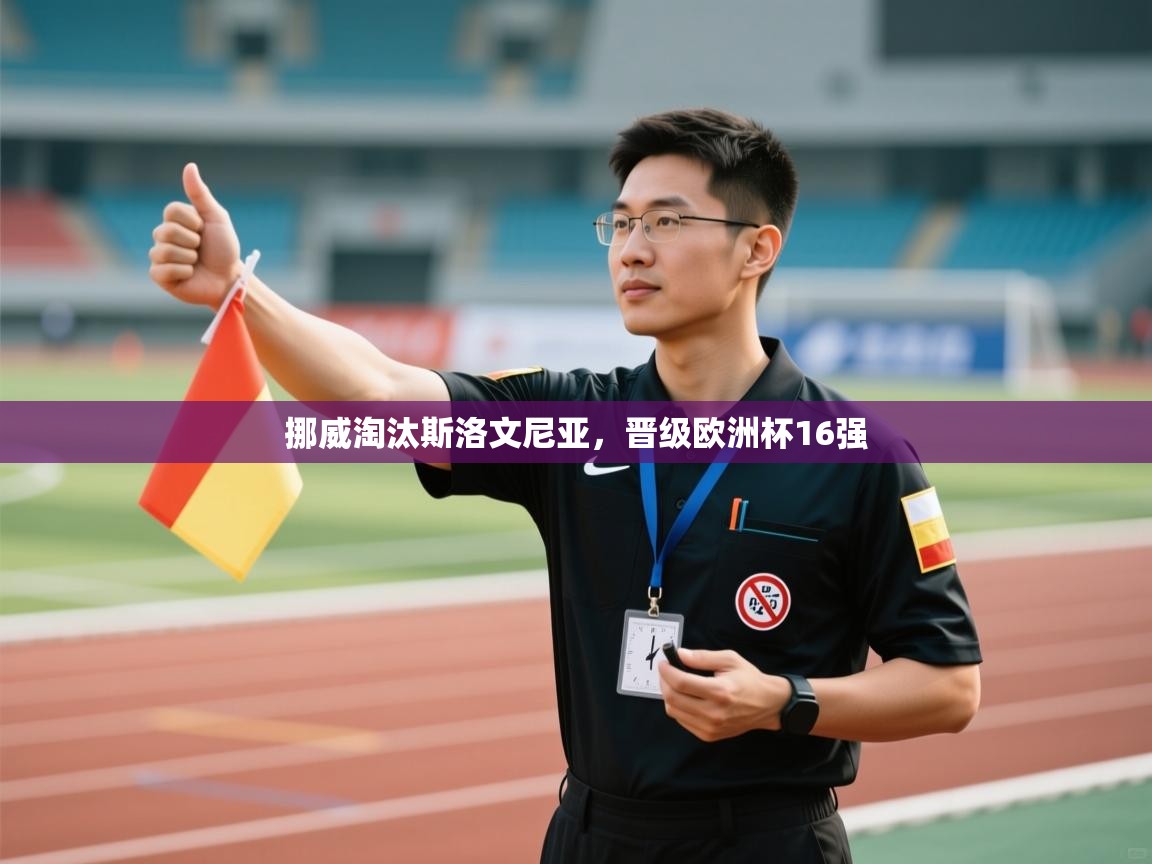 挪威淘汰斯洛文尼亚，晋级欧洲杯16强